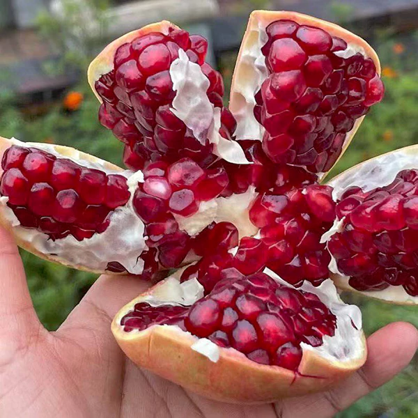 Scarlet-Bliss- Cover-01