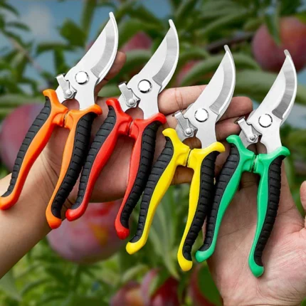 প্রুনিং সিকেচার - Gardening Pruning Shears